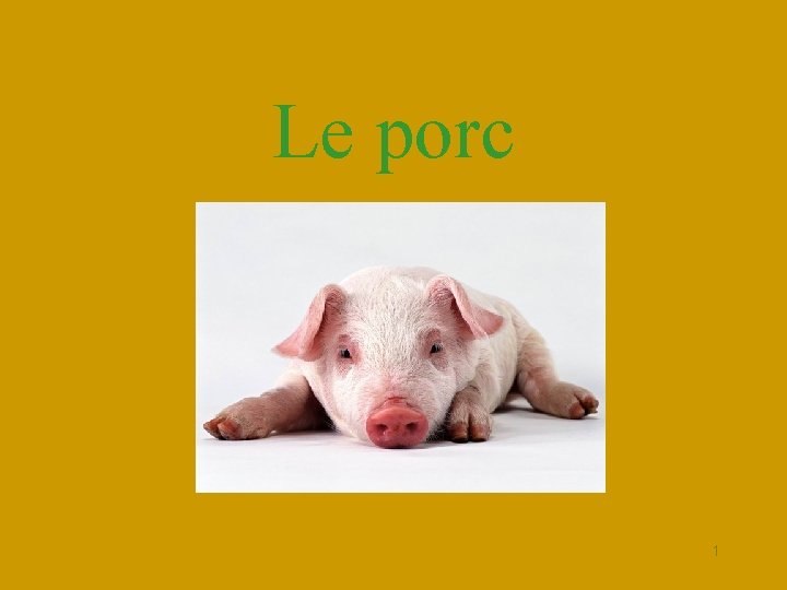 Le porc 1 