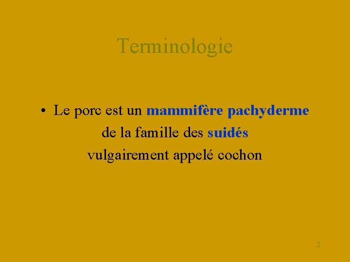 Terminologie • Le porc est un mammifère pachyderme de la famille des suidés vulgairement