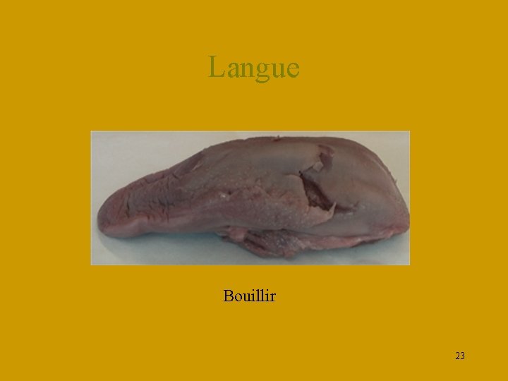 Langue Bouillir 23 