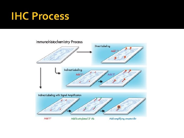 IHC Process IHC Process