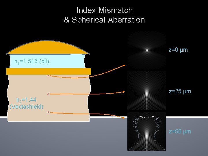Index Mismatch & Spherical Aberration z=0 µm n 1=1. 515 (oil) z=25 µm n Index Mismatch & Spherical Aberration z=0 µm n 1=1. 515 (oil) z=25 µm n