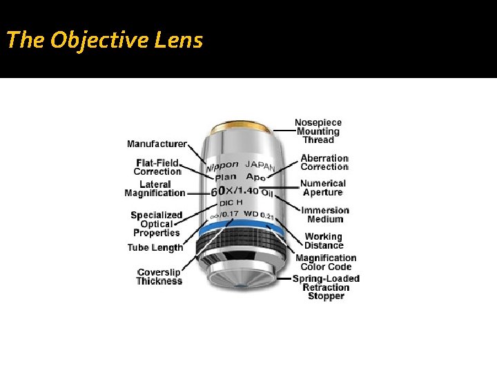 The Objective Lens The Objective Lens