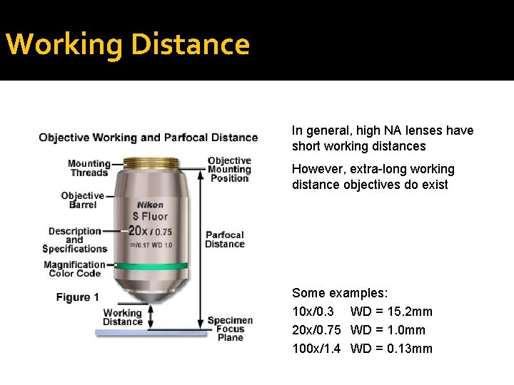 Working Distance In general, high NA lenses have short working distances However, extra-long working Working Distance In general, high NA lenses have short working distances However, extra-long working