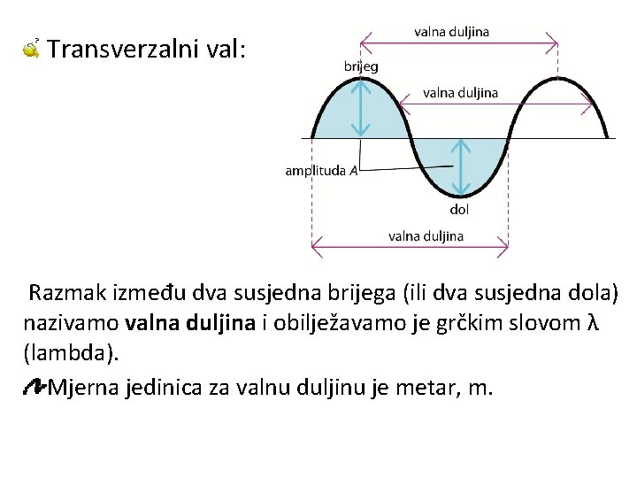 Transverzalni val: Razmak između dva susjedna brijega (ili dva susjedna dola) nazivamo valna duljina