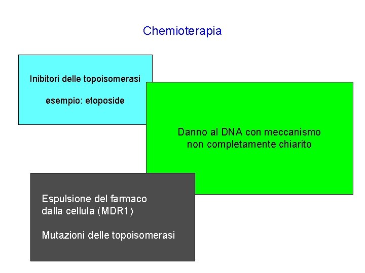 Chemioterapia Inibitori delle topoisomerasi esempio: etoposide Danno al DNA con meccanismo non completamente chiarito