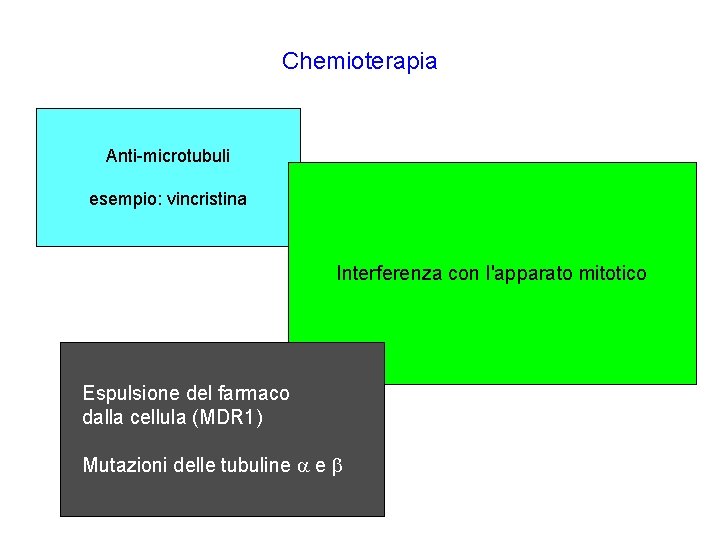 Chemioterapia Anti-microtubuli esempio: vincristina Interferenza con l'apparato mitotico Espulsione del farmaco dalla cellula (MDR