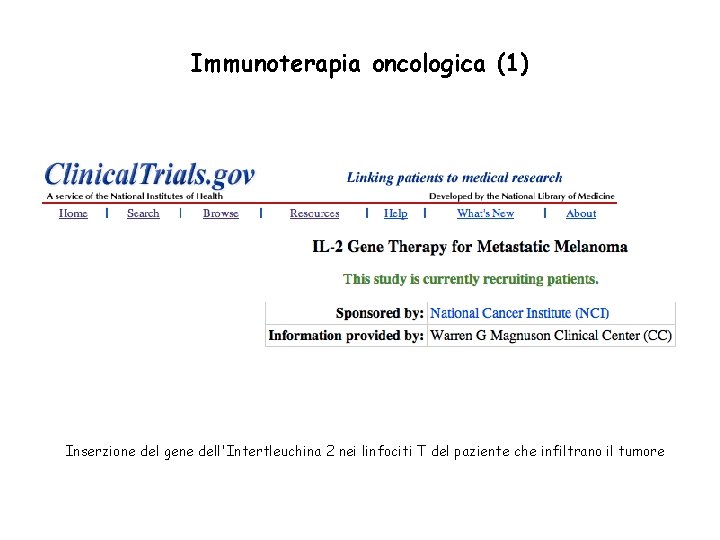 Immunoterapia oncologica (1) Inserzione del gene dell'Intertleuchina 2 nei linfociti T del paziente che