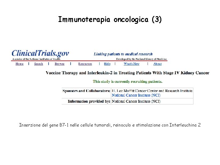 Immunoterapia oncologica (3) Inserzione del gene B 7 -1 nelle cellule tumorali, reinoculo e Immunoterapia oncologica (3) Inserzione del gene B 7 -1 nelle cellule tumorali, reinoculo e