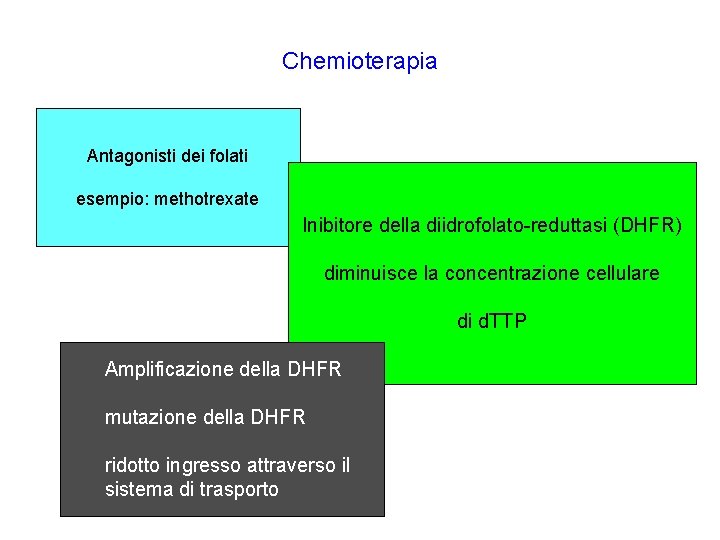 Chemioterapia Antagonisti dei folati esempio: methotrexate Inibitore della diidrofolato-reduttasi (DHFR) diminuisce la concentrazione cellulare