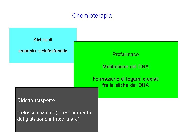 Chemioterapia Alchilanti esempio: ciclofosfamide Profarmaco Metilazione del DNA Formazione di legami crociati fra le