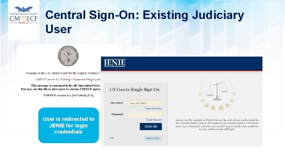 Central Sign-On: Existing Judiciary User is redirected to JENIE for login credentials 