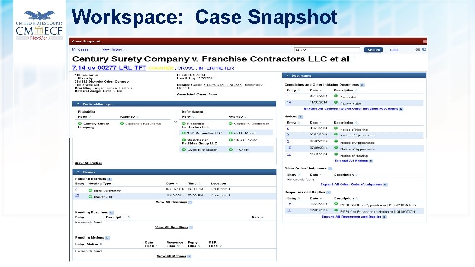 Workspace: Case Snapshot 