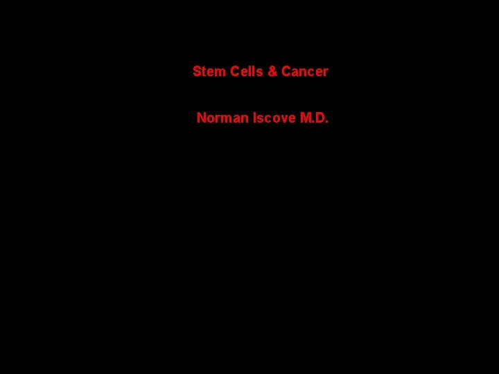 Stem Cells & Cancer Norman Iscove M. D. 
