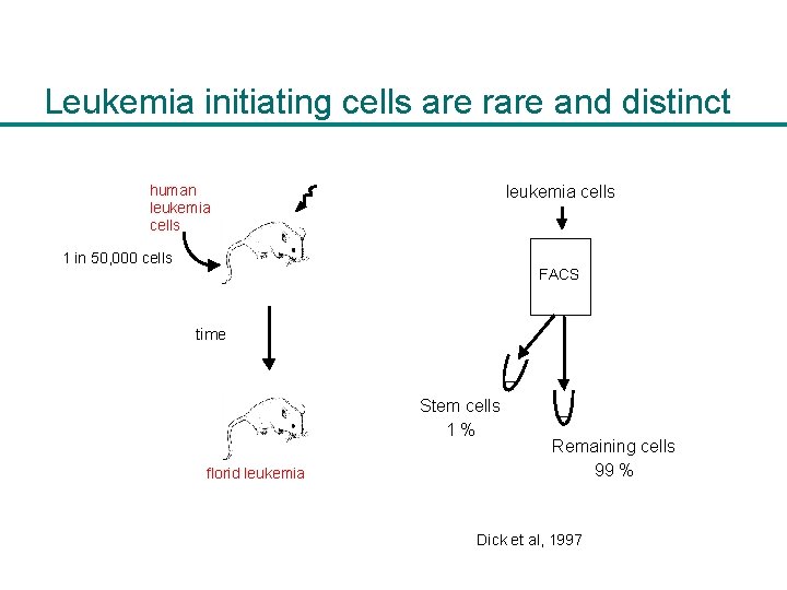 Leukemia initiating cells are rare and distinct leukemia cells human leukemia cells 1 in