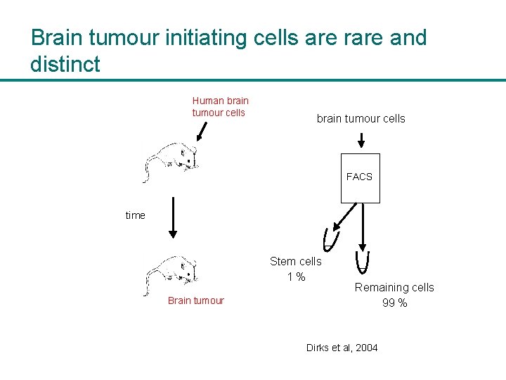 Brain tumour initiating cells are rare and distinct Human brain tumour cells FACS time