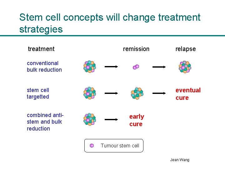 Stem cell concepts will change treatment strategies treatment remission relapse conventional bulk reduction eventual