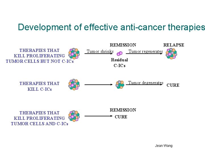 Development of effective anti-cancer therapies THERAPIES THAT KILL PROLIFERATING TUMOR CELLS BUT NOT C-ICs