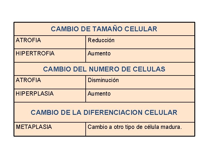 CAMBIO DE TAMAÑO CELULAR ATROFIA Reducción HIPERTROFIA Aumento CAMBIO DEL NUMERO DE CELULAS ATROFIA