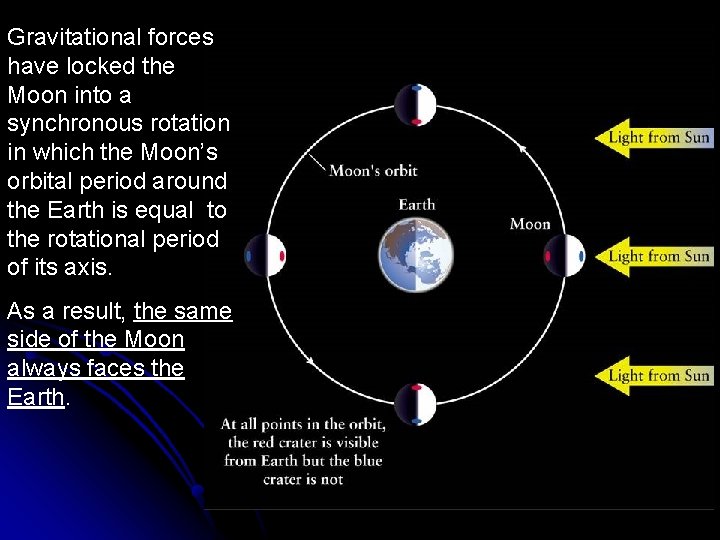 Gravitational forces have locked the Moon into a synchronous rotation in which the Moon’s