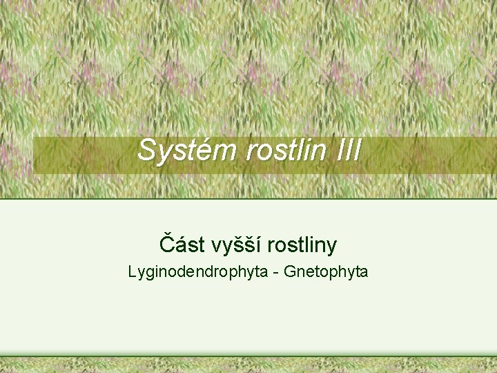 Systém rostlin III Část vyšší rostliny Lyginodendrophyta - Gnetophyta 