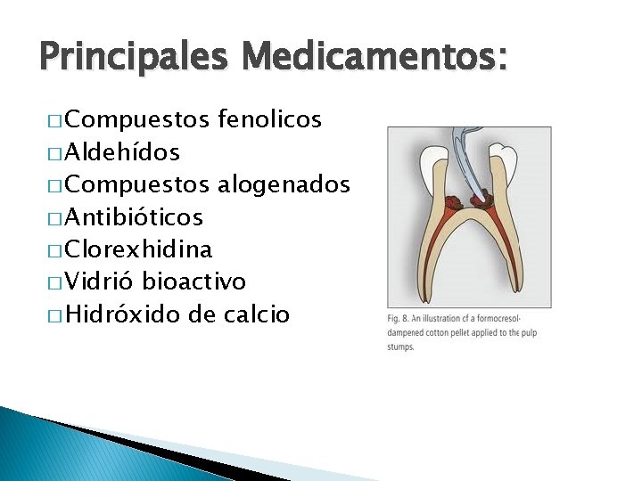 Principales Medicamentos: � Compuestos fenolicos � Compuestos alogenados � Aldehídos � Antibióticos � Clorexhidina