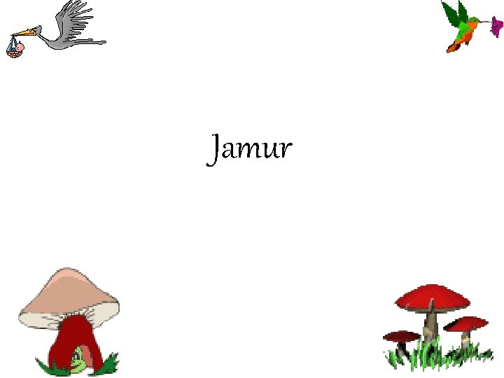 Jamur 