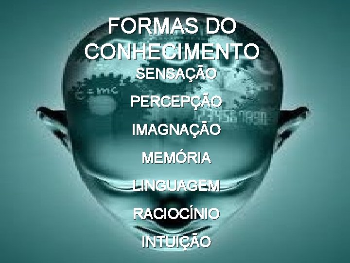 FORMAS DO CONHECIMENTO SENSAÇÃO PERCEPÇÃO IMAGNAÇÃO MEMÓRIA LINGUAGEM RACIOCÍNIO INTUIÇÃO 