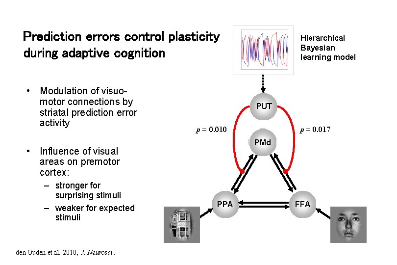 Prediction errors control plasticity during adaptive cognition • Modulation of visuomotor connections by striatal