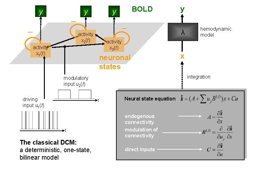 y y BOLD y activity x 2(t) neuronal states t Neural state equation endogenous