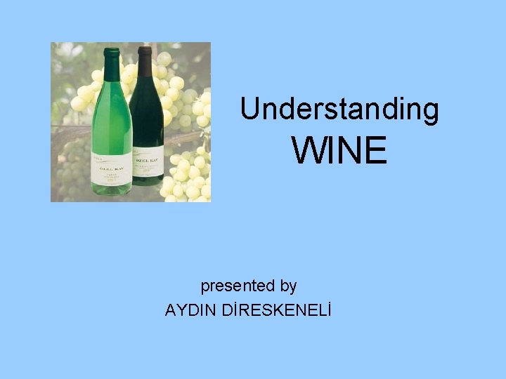 Understanding WINE presented by AYDIN DİRESKENELİ 