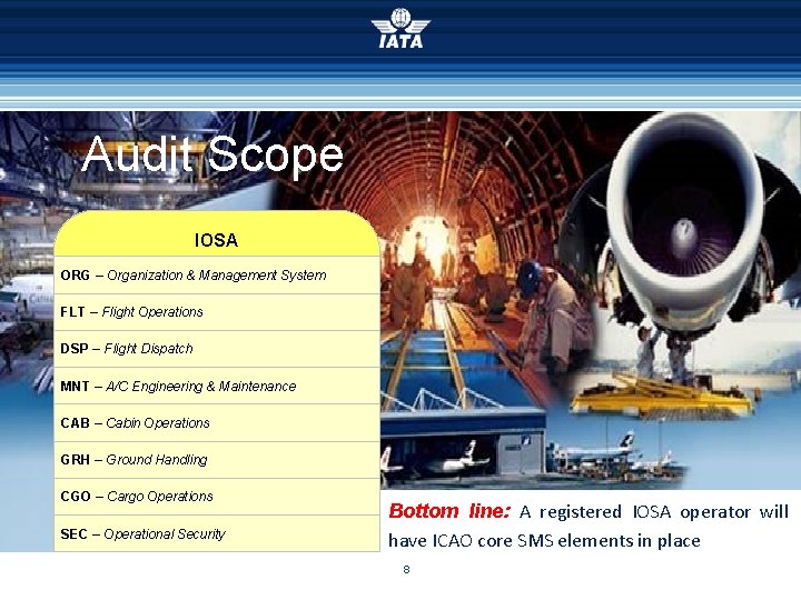 Audit Scope IOSA ORG – Organization & Management System FLT – Flight Operations DSP