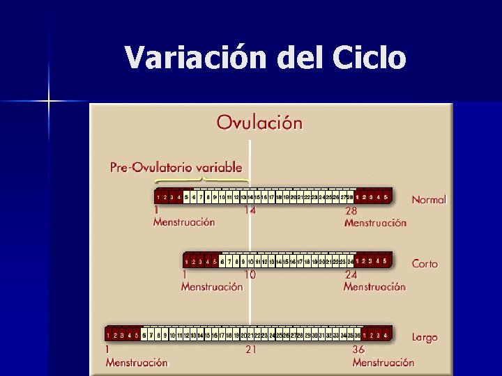 Variación del Ciclo 