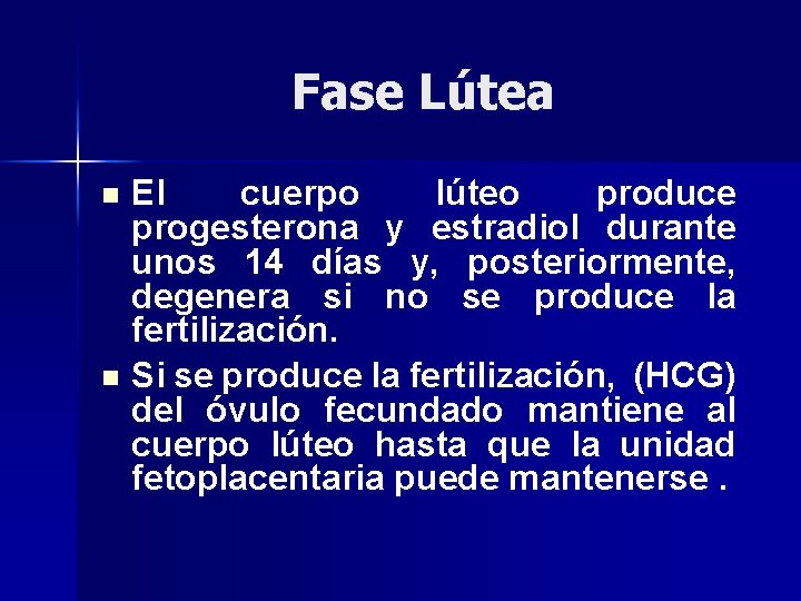 Fase Lútea El cuerpo lúteo produce progesterona y estradiol durante unos 14 días y,