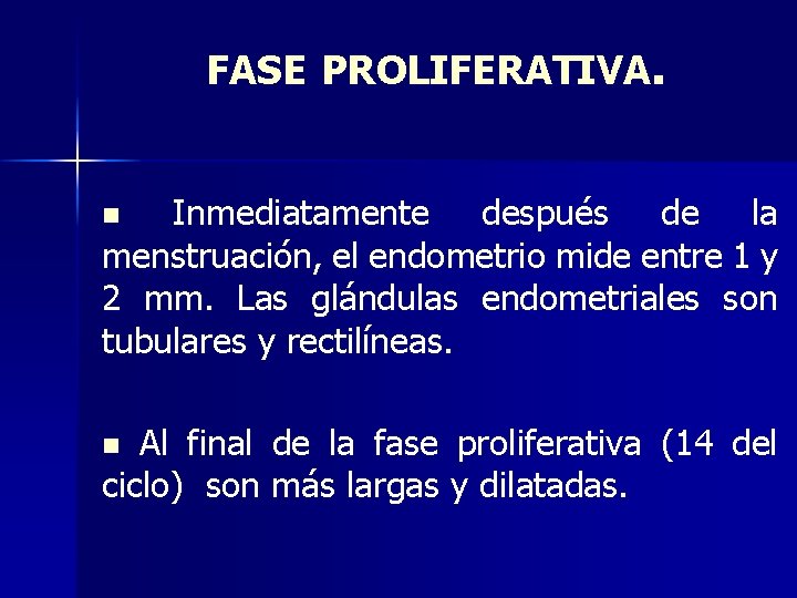 FASE PROLIFERATIVA. Inmediatamente después de la menstruación, el endometrio mide entre 1 y 2