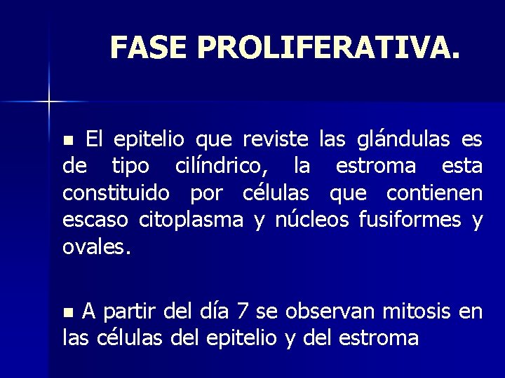 FASE PROLIFERATIVA. El epitelio que reviste las glándulas es de tipo cilíndrico, la estroma