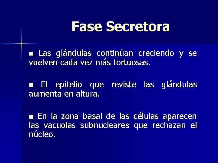 Fase Secretora Las glándulas continúan creciendo y se vuelven cada vez más tortuosas. n
