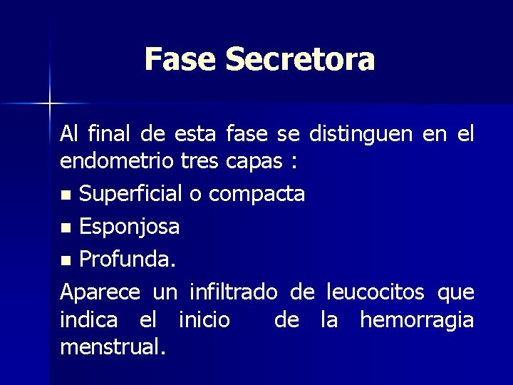 Fase Secretora Al final de esta fase se distinguen en el endometrio tres capas