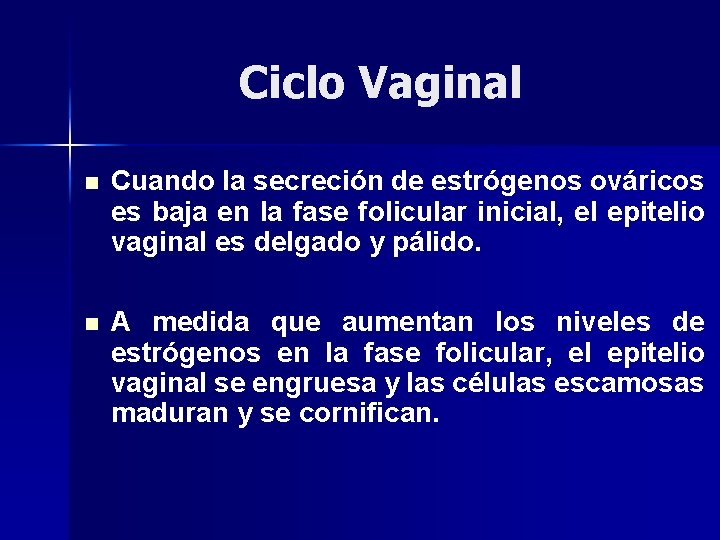 Ciclo Vaginal n Cuando la secreción de estrógenos ováricos es baja en la fase