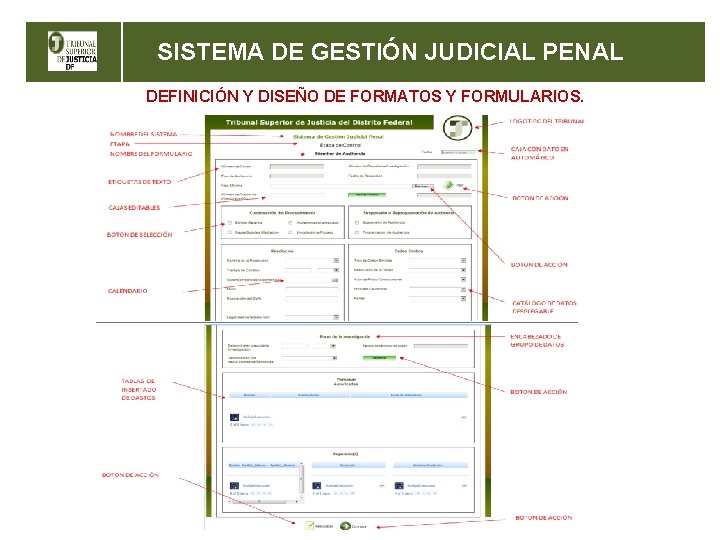 SISTEMA DE GESTIÓN JUDICIAL PENAL DEFINICIÓN Y DISEÑO DE FORMATOS Y FORMULARIOS. 