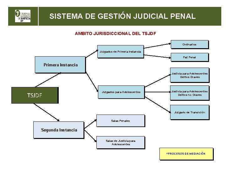 SISTEMA DE GESTIÓN JUDICIAL PENAL AMBITO JURISDICCIONAL DEL TSJDF Ordinarios Juzgados de de Primera
