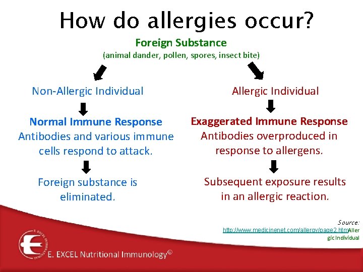 How do allergies occur? Foreign Substance (animal dander, pollen, spores, insect bite) Non-Allergic Individual How do allergies occur? Foreign Substance (animal dander, pollen, spores, insect bite) Non-Allergic Individual