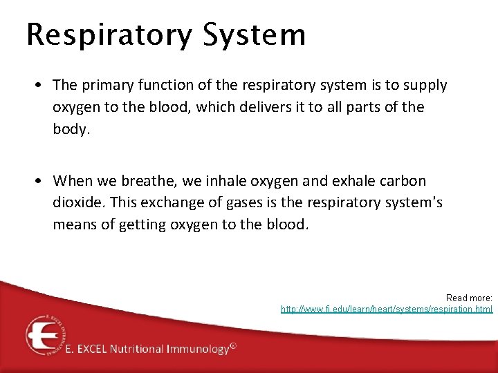 Respiratory System • The primary function of the respiratory system is to supply oxygen Respiratory System • The primary function of the respiratory system is to supply oxygen