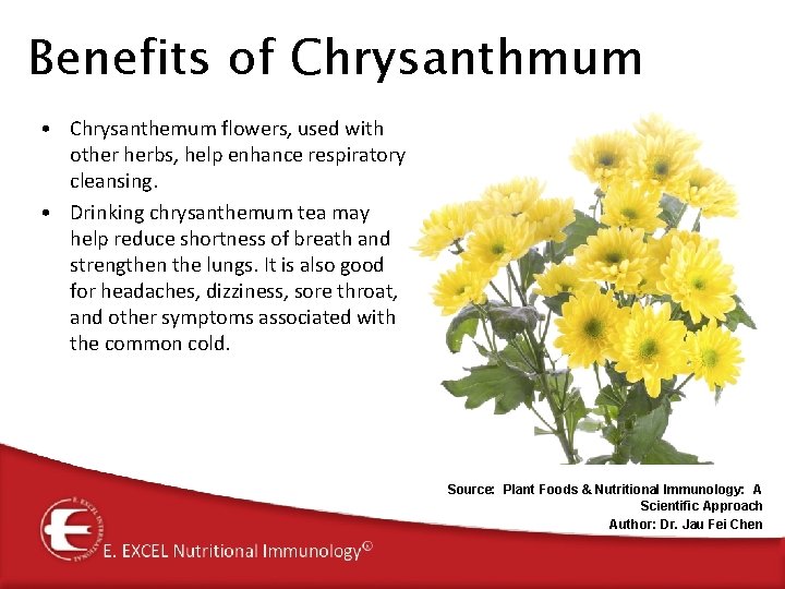 Benefits of Chrysanthmum • Chrysanthemum flowers, used with other herbs, help enhance respiratory cleansing. Benefits of Chrysanthmum • Chrysanthemum flowers, used with other herbs, help enhance respiratory cleansing.