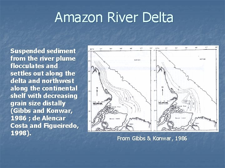 Amazon River Delta Suspended sediment from the river plume flocculates and settles out along