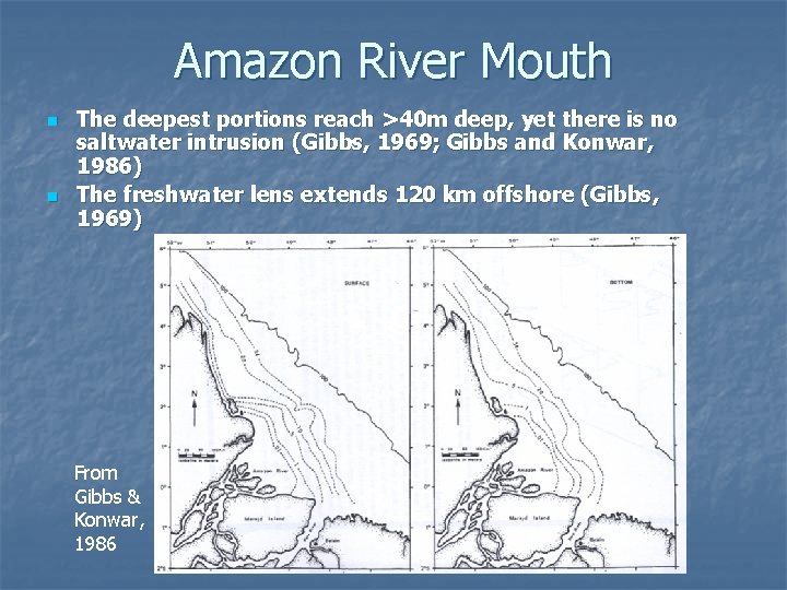 Amazon River Mouth n n The deepest portions reach >40 m deep, yet there