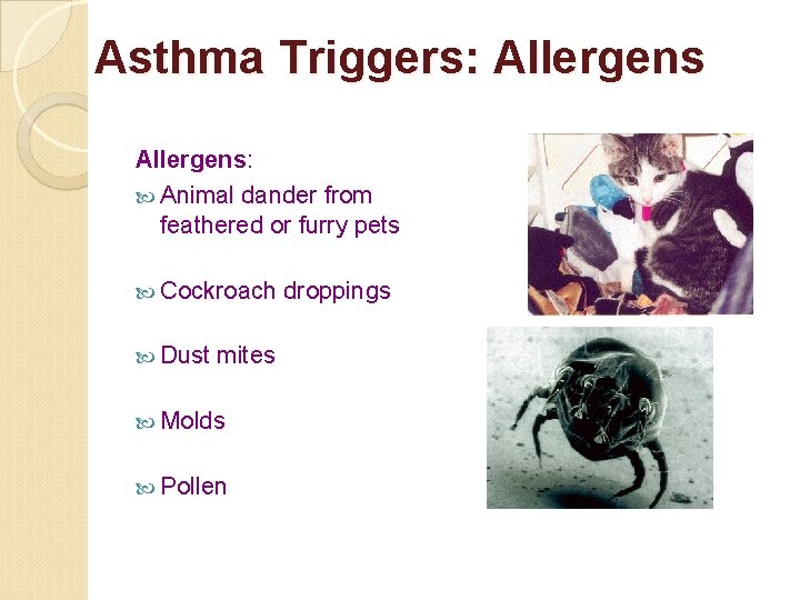 Asthma Triggers: Allergens: Animal dander from feathered or furry pets Cockroach Dust mites Molds