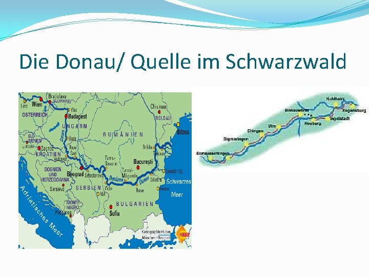 Die Donau/ Quelle im Schwarzwald 