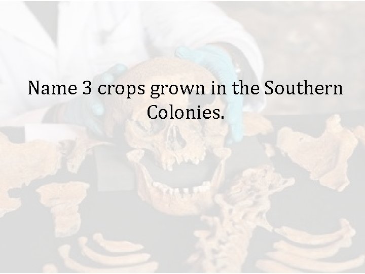 Name 3 crops grown in the Southern Colonies. 