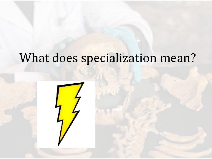 What does specialization mean? 