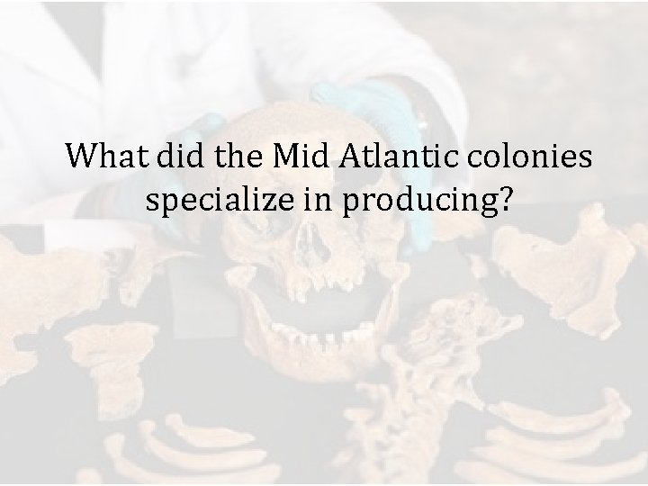What did the Mid Atlantic colonies specialize in producing? 
